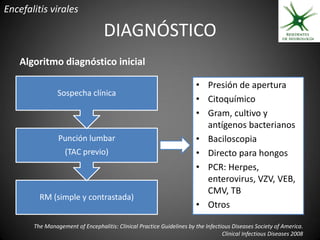 Encefalitis virales

                                   DIAGNÓSTICO
   Algoritmo diagnóstico inicial

                                                                        • Presión de apertura
                Sospecha clínica
                                                                        • Citoquímico
                                                                        • Gram, cultivo y
                                                                          antígenos bacterianos
                Punción lumbar                                          • Baciloscopia
                   (TAC previo)                                         • Directo para hongos
                                                                        • PCR: Herpes,
                                                                          enterovirus, VZV, VEB,
                                                                          CMV, TB
         RM (simple y contrastada)
                                                                        • Otros

       The Management of Encephalitis: Clinical Practice Guidelines by the Infectious Diseases Society of America.
                                                                                  Clinical Infectious Diseases 2008
 