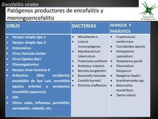 Encefalitis virales
  Patógenos productores de encefalitis y
  meningoencefalitis
  VIRUS                                       BACTERIAS                   HONGOS Y
                                                                          PARÁSITOS
     Herpes simple tipo 1                       Micoplasma n.              Cryptococcus
     Herpes simple tipo 2                       Listeria                    neoformans
     Enterovirus                                 monocytogenes              Coccidioides species
                                                 Mycobacterium              Histoplasma
     Virus Varicela-Zoster
                                                  tuberculosis                capsulatum
     Virus Epstein Barr                         Treponema pallidum         Toxoplasma gondii
     Citomegalovirus                            Rickettsia rickettsii      Plasmodium
     Herpes virus humano 6                      Borrelia burgdorferi        falciparum
     Arbovirus       (Nilo    occidental,       Bartonella henselae        Naegleria fowleri
      encefalitis de San Luis, encefalitis       Coxiella burnetii          Acanthamoeba spp
      equina oriental y occidental,              Ehrlichia chaffeensis      Balamuthia
      encefalitis japonesa)                                                   mandrillaris
                                                                             Taenia solium
     VIH
     Otros: rabia, influenza, parotiditis,
      sarampión, rubeola, etc.
 