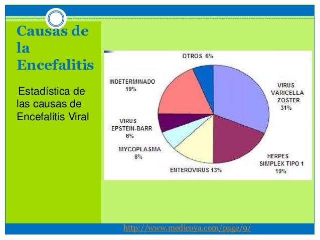 Causas comunes de la encefalitis