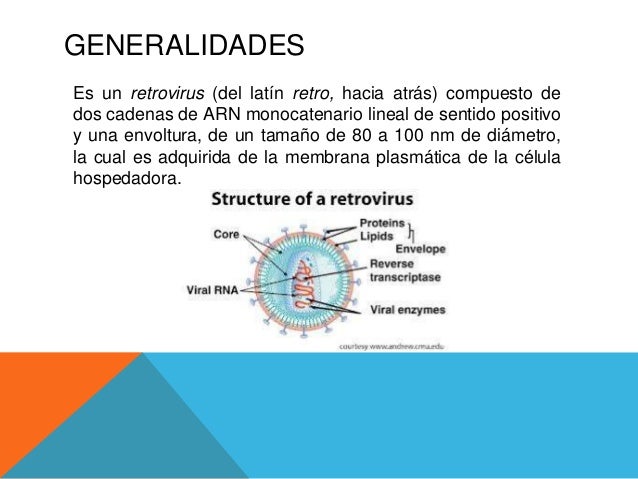 Encefalitis y artritis caprina