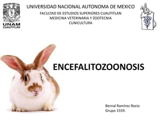 UNIVERSIDAD NACIONAL AUTONOMA DE MEXICO FACULTAD DE ESTUDIOS SUPERIORES CUAUTITLAN MEDICINA VETERINARIA Y ZOOTECNIA CUNICULTURA ENCEFALITOZOONOSIS Bernal Ramírez Rocio Grupo 1559. 