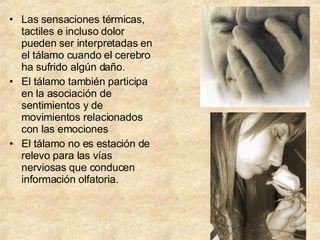 Las sensaciones térmicas, tactiles e incluso dolor pueden ser interpretadas en el tálamo cuando el cerebro ha sufrido algún daño. El tálamo también participa en la asociación de sentimientos y de movimientos relacionados con las emociones El tálamo no es estación de relevo para las vías nerviosas que conducen información olfatoria. 