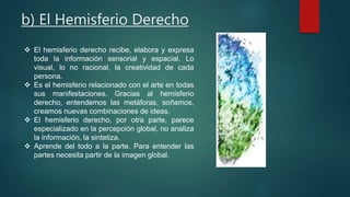 b) El Hemisferio Derecho 
 El hemisferio derecho recibe, elabora y expresa 
toda la información sensorial y espacial. Lo 
visual, lo no racional, la creatividad de cada 
persona. 
 Es el hemisferio relacionado con el arte en todas 
sus manifestaciones. Gracias al hemisferio 
derecho, entendemos las metáforas, soñamos, 
creamos nuevas combinaciones de ideas. 
 El hemisferio derecho, por otra parte, parece 
especializado en la percepción global, no analiza 
la información, la sintetiza. 
 Aprende del todo a la parte. Para entender las 
partes necesita partir de la imagen global. 
 