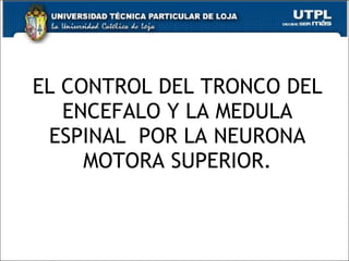 EL CONTROL DEL TRONCO DEL ENCEFALO Y LA MEDULA ESPINAL  POR LA NEURONA MOTORA SUPERIOR. 