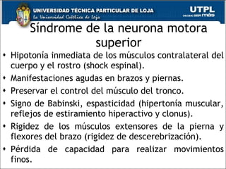 Síndrome de la neurona motora superior Hipotonía inmediata de los músculos contralateral del cuerpo y el rostro (shock espinal). Manifestaciones agudas en brazos y piernas. Preservar el control del músculo del tronco.  Signo de Babinski, espasticidad (hipertonía muscular, reflejos de estiramiento hiperactivo y clonus).  Rigidez de los músculos extensores de la pierna y flexores del brazo (rigidez de descerebrización).  Pérdida de capacidad para realizar movimientos finos.  