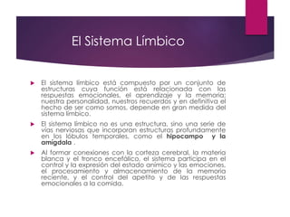 El Sistema Límbico
 El sistema límbico está compuesto por un conjunto de
estructuras cuya función está relacionada con las
respuestas emocionales, el aprendizaje y la memoria;
nuestra personalidad, nuestros recuerdos y en definitiva el
hecho de ser como somos, depende en gran medida del
sistema límbico.
 El sistema límbico no es una estructura, sino una serie de
vías nerviosas que incorporan estructuras profundamente
en los lóbulos temporales, como el hipocampo y la
amígdala .
 Al formar conexiones con la corteza cerebral, la materia
blanca y el tronco encefálico, el sistema participa en el
control y la expresión del estado anímico y las emociones,
el procesamiento y almacenamiento de la memoria
reciente, y el control del apetito y de las respuestas
emocionales a la comida.
 