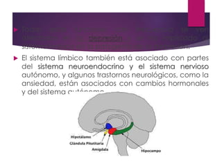  Todas estas funciones con frecuencia se ven
afectadas en la depresión y se ha implicado al
sistema límbico en la patogenia de la depresión.
 El sistema límbico también está asociado con partes
del sistema neuroendocrino y el sistema nervioso
autónomo, y algunos trastornos neurológicos, como la
ansiedad, están asociados con cambios hormonales
y del sistema autónomo.
 