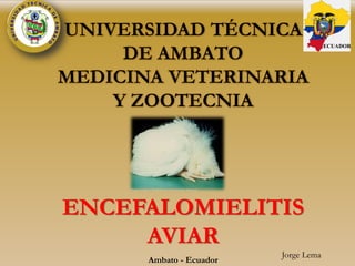 ENCEFALOMIELITIS
AVIAR
Ambato - Ecuador
UNIVERSIDAD TÉCNICA
DE AMBATO
MEDICINA VETERINARIA
Y ZOOTECNIA
ECUADOR
Jorge Lema
 
