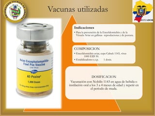 Vacunas utilizadas
Indicaciones
• Para la prevención de la Encefalomielitis y de la
Viruela Aviar en gallinas reproductoras y de postura.
COMPOSICION
• Encefalomielitis aviar, cepa Calnek 1143, virus
1000 EID 50.
• Estabilizadores c.s.p. 1 dosis.
DOSIFICACION
Vacunación con Nobilis 1143 en agua de bebida o
instilación oral a los 3 a 4 meses de edad y repetir en
el periodo de muda.
ECUADOR
 