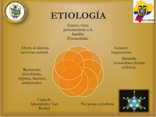 ETIOLOGÍA
Entero virus
perteneciente a la
familia:
Picornaviridae.
Genero:
hepatovirus
Simetría:
icosaédrica (forma
esférica).
No posee envoltura
Cepa de
laboratorio: Van
Roekel
Resistente:
cloroformo,
tripsina, factores
ambientales.
Afecta al sistema
nervioso central.
ECUADOR
 