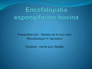 Presentado por : Natalia de la hoz rubio
Microbiología IV semestre
Docente : maría aux. Badillo
 