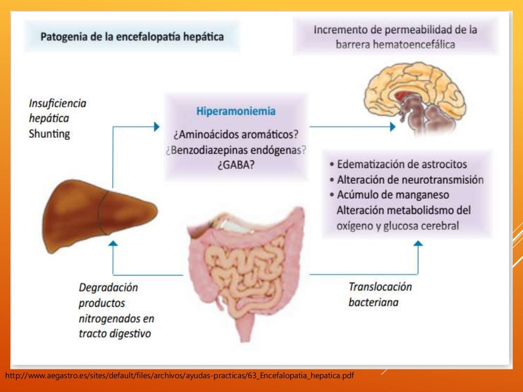 Cid 10 Encefalopatia Hepatica - RETOEDU