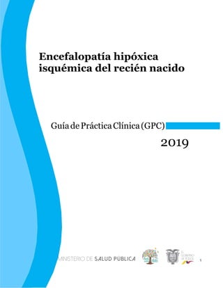 1
Encefalopatía hipóxica
isquémica del recién nacido
GuíadePrácticaClínica(GPC)
2019
 
