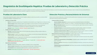 Encefalopatia-Hepatica NUEVA (1).pptx INFECCION | PPTX