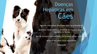 Doenças
Hepáticas em
Cães
Agentes infecciosos: Bactérias, vírus ou protozoários
Químicos: medicamentos, produtos de limpeza, plantas,
cogumelos ou toxinas
Uso de fármacos (fenobarbital, corticoides, sulfas, carprofeno)
Acúmulo de cobre (raças específicas)
Neoplasias
 