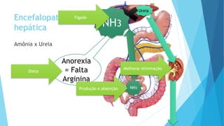 Encefalopatia
hepática
Amônia x Ureia
NH3
NH3
Ureia
Anorexia
= Falta
Arginina
NH3NH3NH3
Fígado
Dieta
Produção e absorção
Melhorar eliminação
 