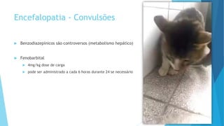 Encefalopatia - Convulsões
 Benzodiazepínicos são controversos (metabolismo hepático)
 Fenobarbital
 4mg/kg dose de carga
 pode ser administrado a cada 6 horas durante 24 se necessário
 