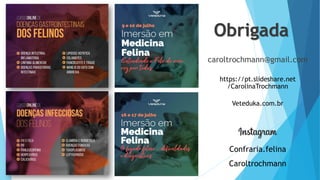 Obrigada
caroltrochmann@gmail.com
Confraria.felina
Caroltrochmann
https://pt.slideshare.net
/CarolinaTrochmann
Veteduka.com.br
 