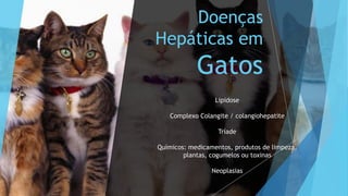 Doenças
Hepáticas em
Gatos
Lipidose
Complexo Colangite / colangiohepatite
Tríade
Químicos: medicamentos, produtos de limpeza,
plantas, cogumelos ou toxinas
Neoplasias
 