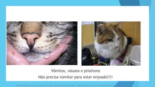 Fonte: Valtolina, Chiara, a Robert P. Favier. "Feline Hepatic Lipidosis." Veterinary Clinics of North America: Small Animal Practice (2017).
Vômitos, náusea e ptialismo
Não precisa vomitar para estar enjoado!!!!
 