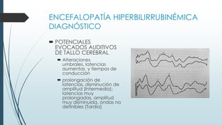 ENCEFALOPATIA POR HIPERBILIRRUBINEMIA PRESENTACION | PPTX