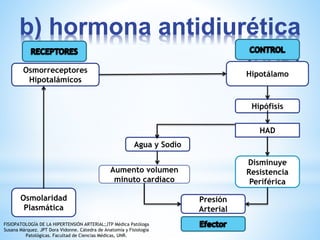 b) hormona antidiurética 
Osmorreceptores 
Hipotalámicos 
Hipotálamo 
Hipófisis 
HAD 
Agua y Sodio 
Aumento volumen 
minuto cardiaco 
Disminuye 
Resistencia 
Periférica 
Presión 
Arterial 
Osmolaridad 
Plasmática 
FISIOPATOLOGÍA DE LA HIPERTENSIÓN ARTERIAL;JTP Médica Patóloga 
Susana Márquez. JPT Dora Vidonne. Cátedra de Anatomía y Fisiología 
Patológicas. Facultad de Ciencias Médicas, UNR. 
 