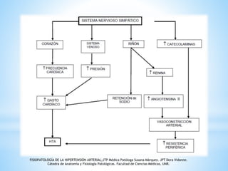 FISIOPATOLOGÍA DE LA HIPERTENSIÓN ARTERIAL;JTP Médica Patóloga Susana Márquez. JPT Dora Vidonne. 
Cátedra de Anatomía y Fisiología Patológicas. Facultad de Ciencias Médicas, UNR. 
 