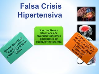 Falsa Crisis 
Hipertensiva 
Son reactivas a 
situaciones de 
ansiedad síndromes 
dolorosos o de 
cualquier naturaleza 
 