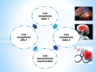 Los 
receptores 
beta 1 
Los 
receptores 
beta 2 
Los 
mecanismos 
hormonales 
Los 
receptores 
alfa 1 
 