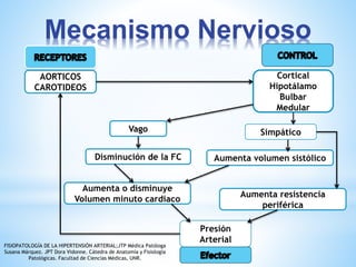 Mecanismo Nervioso 
AORTICOS 
CAROTIDEOS 
Cortical 
Hipotálamo 
Bulbar 
Medular 
Vago Simpático 
Disminución de la FC Aumenta volumen sistólico 
Aumenta o disminuye 
Volumen minuto cardiaco 
Aumenta resistencia 
periférica 
Presión 
Arterial 
FISIOPATOLOGÍA DE LA HIPERTENSIÓN ARTERIAL;JTP Médica Patóloga 
Susana Márquez. JPT Dora Vidonne. Cátedra de Anatomía y Fisiología 
Patológicas. Facultad de Ciencias Médicas, UNR. 
 