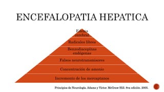 Edema
cerebral
Radicales libres
Benzodiacepínas
endógenas
Falsos neurotransmisores
Concentración de amonio
Incremento de los mercaptanos
Principios de Neurología. Adams y Victor. McGraw Hill. 8va edición. 2005.
 