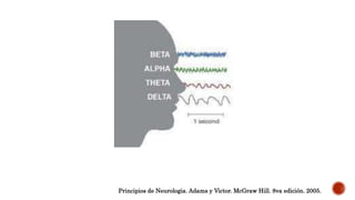 Principios de Neurologia. Adams y Victor. McGraw Hill. 8va edición. 2005.
 