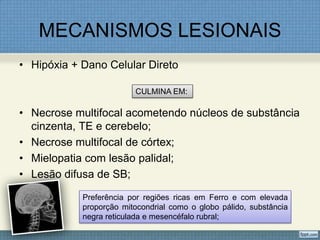 MECANISMOS LESIONAIS
• Hipóxia + Dano Celular Direto
• Necrose multifocal acometendo núcleos de substância
cinzenta, TE e cerebelo;
• Necrose multifocal de córtex;
• Mielopatia com lesão palidal;
• Lesão difusa de SB;
CULMINA EM:
Preferência por regiões ricas em Ferro e com elevada
proporção mitocondrial como o globo pálido, substância
negra reticulada e mesencéfalo rubral;
 