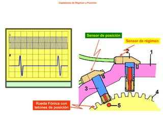 101/264Captadores de Régimen y Posición
Rueda Fónica con
tetones de posición
Sensor de régimen
Sensor de posición
 