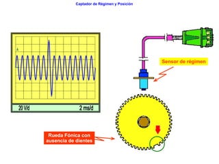 103/264Captador de Régimen y Posición
Rueda Fónica con
ausencia de dientes
Sensor de régimen
 