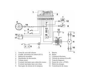 145/264
Sistema de Encendido Digiplex 2
1. Toma de vacío del colector.
2. Unidad electrónica de control (ECU).
3. Bobina de encendido.
4. Distribuidor de alta tensión.
5. Volante motor.
6. Eventual interruptor para reducción avance
7. Eventual interruptor para curva base.
8. Interruptor de mínimo de la mariposa.
9. Batería.
10. Bujías.
11. Cuentarrevoluciones.
12. Válvula de mínima (Cut-off)
13. Toma de diagnosis.
14. Sensor de r.p.m. y P.M.S.
15. Motor de arranque.
16. Centralización de masas.
 