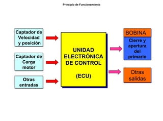 94/264
Principio de Funcionamiento
Captador de
Velocidad
y posición
Captador de
Velocidad
y posición Cierre y
apertura
del
primario
Cierre y
apertura
del
primario
BOBINABOBINA
UNIDAD
ELECTRÓNICA
DE CONTROL
(ECU)
UNIDADUNIDAD
ELECTRELECTRÓÓNICANICA
DE CONTROLDE CONTROL
(ECU)(ECU)
Captador de
Carga
motor
Captador de
Carga
motor
Otras
salidas
Otras
salidasOtras
entradas
Otras
entradas
 