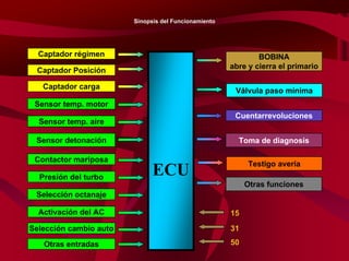 96/264
ECU
Sinopsis del Funcionamiento
Captador régimen
Activación del AC
Captador Posición
Selección octanaje
Captador carga
Presión del turbo
Sensor temp. motor
Sensor temp. aire
Sensor detonación
Contactor mariposa
Selección cambio auto
BOBINA
abre y cierra el primario
Válvula paso mínima
Cuentarrevoluciones
Testigo avería
Toma de diagnosis
Otras funciones
Otras entradas
15
50
31
 