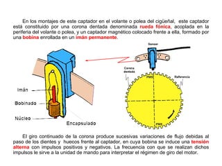 98/264
Captadores Inductivos
En los montajes de este captador en el volante o polea del cigüeñal, este captador
está constituido por una corona dentada denominada rueda fónica, acoplada en la
periferia del volante o polea, y un captador magnético colocado frente a ella, formado por
una bobina enrollada en un imán permanente.
El giro continuado de la corona produce sucesivas variaciones de flujo debidas al
paso de los dientes y huecos frente al captador, en cuya bobina se induce una tensión
alterna con impulsos positivos y negativos. La frecuencia con que se realizan dichos
impulsos le sirve a la unidad de mando para interpretar el régimen de giro del motor.
 
