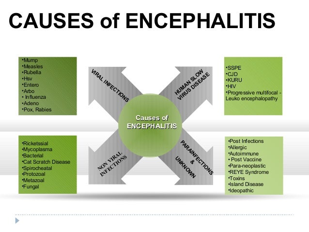 encephalitis essay Free essay: encephalitis encephalitis literally means an inflammation of the brain, but it usually refers to brain inflammation caused by a virus it may. encephalitis essay Free essay: encephalitis encephalitis literally means an inflammation of the brain, but it usually refers to brain inflammation caused by a virus it may.