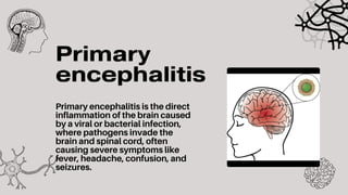 Comprehensive Overview of Encephalitis: Causes, Symptoms, and Nursing ...