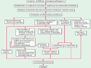 Comprehensive Overview of Encephalitis and Acute Bacterial Meningitis ...