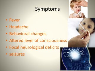 Symptoms
• Fever
• Headache
• Behavioral changes
• Altered level of consciousness
• Focal neurological deficits
• seizures
 