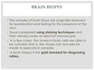 BRAIN BIOPSY
• Tiny samples of brain tissue are surgically removed
for examination and testing for the presence of the
virus.
• Tissue is prepared using staining techniques and
then viewed under an electron microscope.
• In a few cases, the viruses in brain cells are able to
be cultured; that is, the viruses can actually be
made to replicate in samples.
• A brain biopsy is the gold standard for diagnosing
rabies.
 