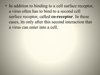 • In addition to binding to a cell surface receptor,
a virus often has to bind to a second cell
surface receptor, called co-receptor. In these
cases, its only after this second interaction that
a virus can enter into a cell.
 
