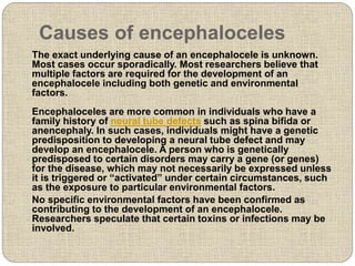 Causes of encephaloceles
The exact underlying cause of an encephalocele is unknown.
Most cases occur sporadically. Most researchers believe that
multiple factors are required for the development of an
encephalocele including both genetic and environmental
factors.
Encephaloceles are more common in individuals who have a
family history of neural tube defects such as spina bifida or
anencephaly. In such cases, individuals might have a genetic
predisposition to developing a neural tube defect and may
develop an encephalocele. A person who is genetically
predisposed to certain disorders may carry a gene (or genes)
for the disease, which may not necessarily be expressed unless
it is triggered or “activated” under certain circumstances, such
as the exposure to particular environmental factors.
No specific environmental factors have been confirmed as
contributing to the development of an encephalocele.
Researchers speculate that certain toxins or infections may be
involved.
 