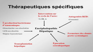 Encéphalopathie hepatique