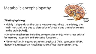 Metabolic encephalopathy
Pathophysiology:
• Mainly it depends on the cause However regardless the etiology the
main mechanism is due to disruption of arousal and attention centers
in the brain (ARAS).
• Another mechanism including compression or injury for areas critical
for memory ,attention and executive functions .
• Abnormalities in neurotransmitters such as ( (Ach , serotonin, GABA
,dopamine, tryptophan ,cytokines ) also affect these connections.
 