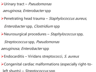 Urinary tract – Pseudomonas
aeruginosa, Enterobacter spp
Penetrating head trauma – Staphylococcus aureus,
Enterobacter spp, Clostridium spp
Neurosurgical procedures – Staphylococcus spp,
Streptococcus spp, Pseudomonas
aeruginosa, Enterobacter spp
Endocarditis – Viridans streptococci, S. aureus
Congenital cardiac malformations (especially right-to-
 