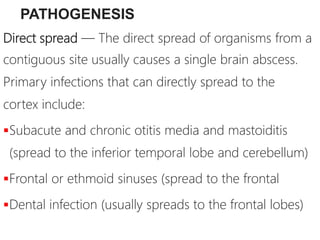 PATHOGENESIS
Direct spread — The direct spread of organisms from a
contiguous site usually causes a single brain abscess.
Primary infections that can directly spread to the
cortex include:
Subacute and chronic otitis media and mastoiditis
(spread to the inferior temporal lobe and cerebellum)
Frontal or ethmoid sinuses (spread to the frontal
Dental infection (usually spreads to the frontal lobes)
 